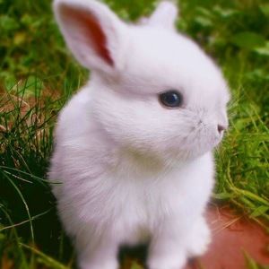 Meet your Posher, Summer